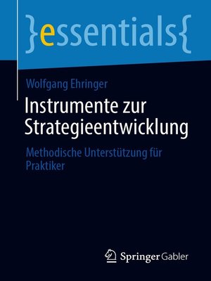 Instrumente zur Strategieentwicklung - ebook